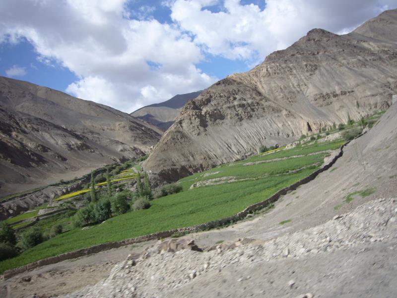 Travel - India - Ladakh - Road To Ladakh